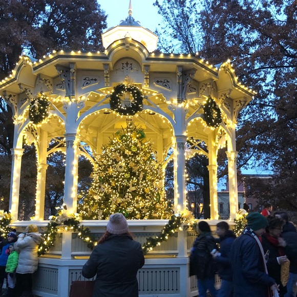 Meet the Posher - Picture 4 of 4